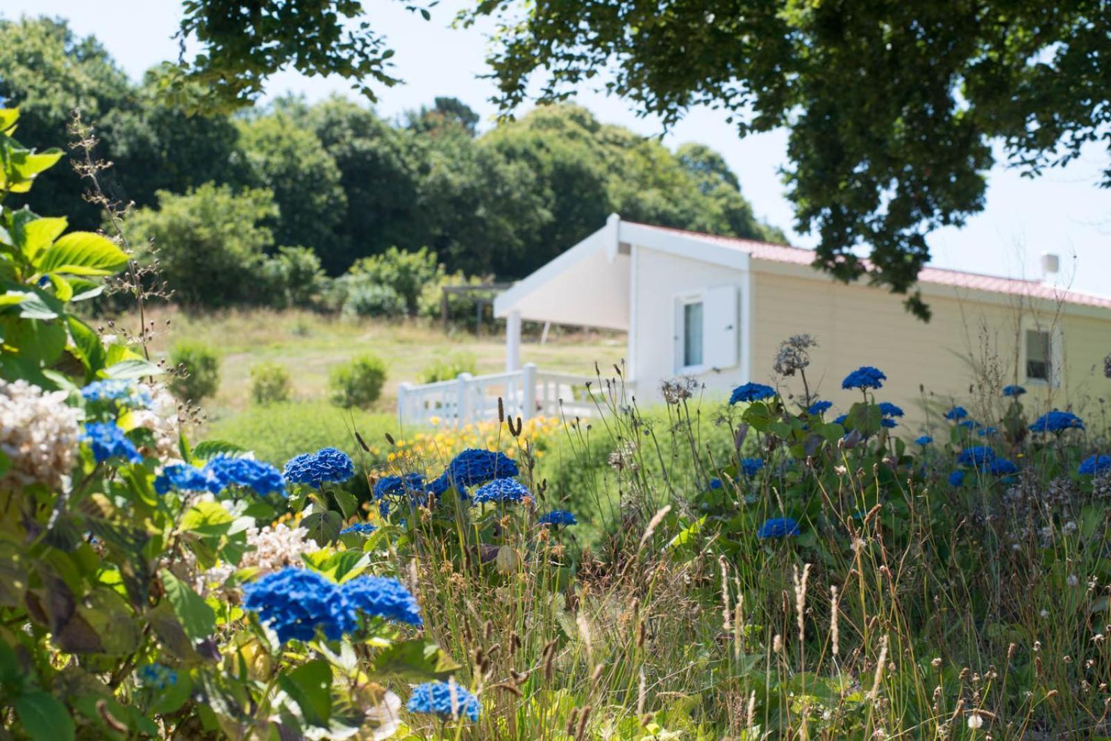 De Trezulien 4*